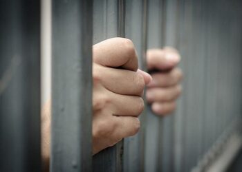 Diduga Manipulasi Pajak Rp452,8 Juta, Dua Bos Sawit di Kaltim Berurusan dengan Kejari Balikpapan Ibu di Balikpapan Tega Memaksa Kedua Anaknya Menegmis, Jika Menolak Mereka Disiksa