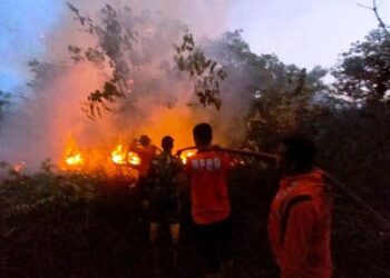 Sigap Padamkan Karhutla Seluas 3,4 Hektare di Penajam