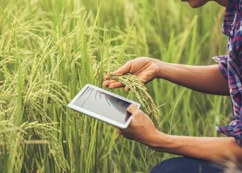 Petani Milenial Terbanyak di Kutai Kartanegara