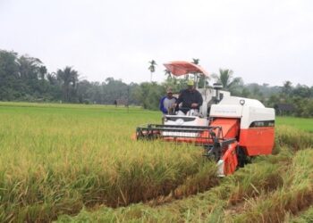 Sektor Pertanian jadi Penyelamat Lapangan Kerja di Kaltim Pemkab Kutai Kartanegara Kembangkan Pertanian Modern demi Ketahanan Pangan
