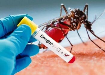 Kasus DBD Terbanyak, Kelurahan Gunung Telihan Bontang Ajak Warga Peduli Kebesihan Kasus Kematian DBD Pecah Telur, Diskes Bontang Minta Warga Aktifkan Gerakkan 3M Plus