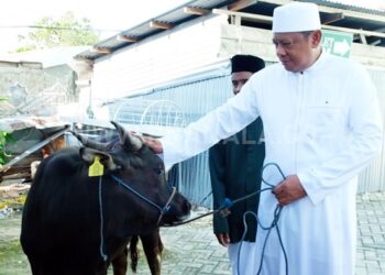 Wali Kota Bontang Salat Iduladha sekaligus Berkurban di Masjid Agung Al Hijrah