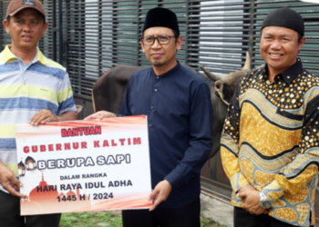 Pj Gubernur Kaltim Salurkan Bantuan 10 Sapi Kurban, Setiap Sapi Bobotnya 450 Kg