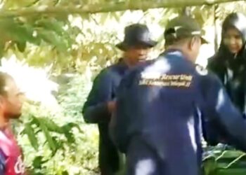 Kemunculan Beruang Madu di Desa Batuah Kukar Gegerkan Warga, Habitat Rusak Diduga Penyebab Utama