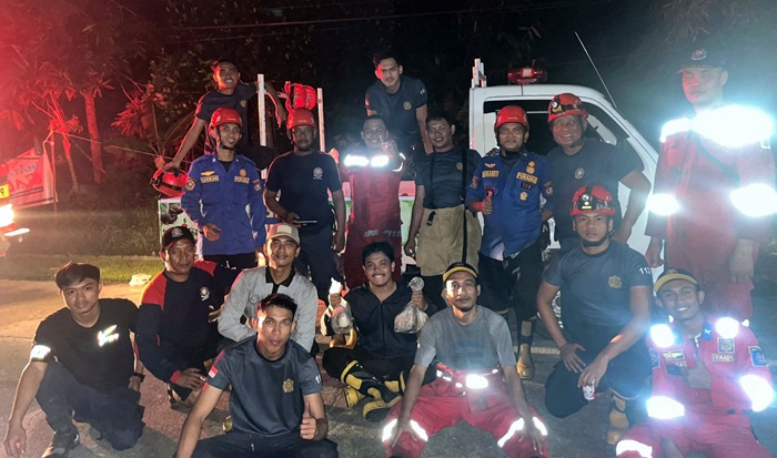 Potret Disdamkartan Bontang Berjibaku 6 Jam Pangkas 26 Pohon Tumbang Akibat Angin Puting Beliung