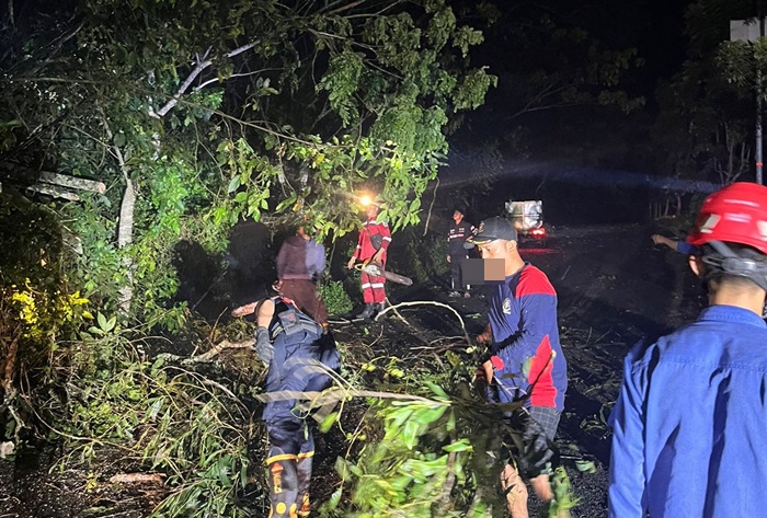 Potret Disdamkartan Bontang Berjibaku 6 Jam Pangkas 26 Pohon Tumbang Akibat Angin Puting Beliung