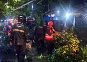 Hujan Deras dan Angin Kencang di Balikpapan, Pohon Tumbang Tutup Akses Jalan