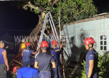 Pohon Tumbang Timpa Rumah Warga di Tanjung Laut Indah, Bontang