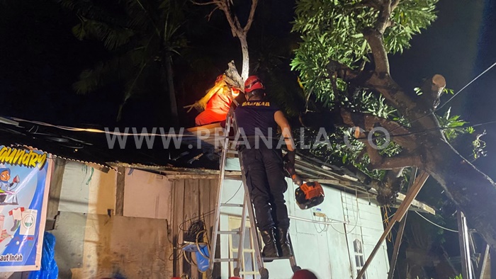 Pohon Tumbang Timpa Rumah Warga di Tanjung Laut Indah, Bontang