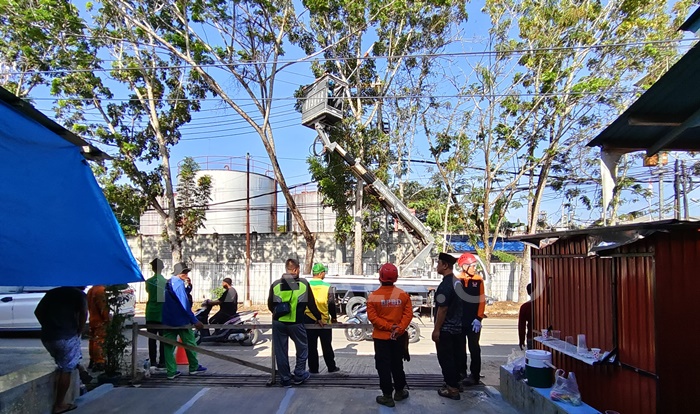 Antisipasi Bahaya, Pohon di Gunung Telihan Bontang Dipangkas