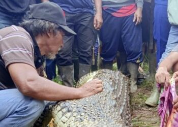 Hilang 15 Jam, Pria di Kutai Timur Tewas Disambar Buaya saat Memancing