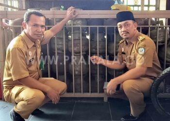 Stok Elpiji 3 Kg Kosong di Sejumlah Pangkalan Gunung Telihan Bontang, Lurah Pantau ke Lokasi