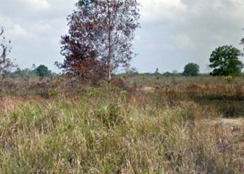 Tahun Ini, Jalan Menuju Titik Rencana Gudang Bulog Bontang Dibangun