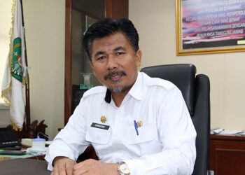 Transisi THL ke PPPK di Kukar Mulai Terwujud, Begini Proses dan Syaratnya