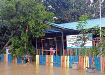 Banjir di Kutai Barat Kaltim Meluas, 5 Kecamatan Terendam hingga Dada Orang Dewasa