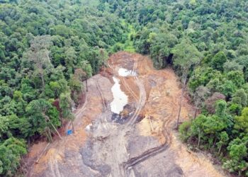Polda Kaltim Periksa 12 Saksi Kasus Tambang Ilegal di Hutan Pendidikan Unmul Samarinda Koperasi Tambang Diduga Serobot Lahan KHDTK Unmul Samarinda, ESDM: Kami Tunggu Bukti Final Tambang Ilegal Serobot Hutan Pendidikan Unmul Picu Banjir di Samarinda