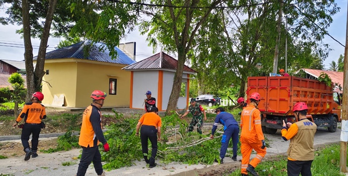 Ibu-Ibu Posyandu Satimpo Bontang Bisa Tenang, Pohon Rawan Tumbang Dipangkas
