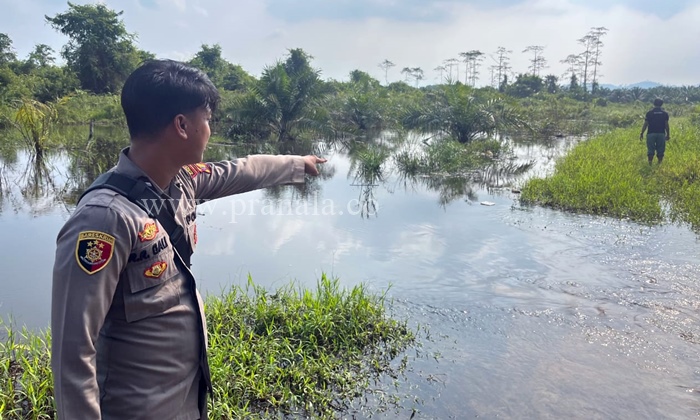 Nyaris Tewas! Pria di Teluk Pandan Kaltim Digigit Buaya saat Mengambil Lumut