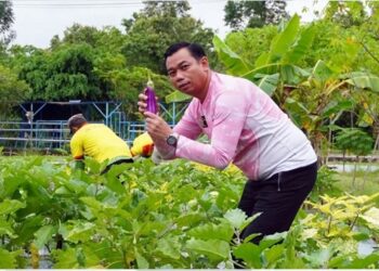 Panen Sayur di Balik Jeruji: Lapas Bontang Hasilkan 60 Kg untuk Warga dan Masyarakat