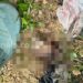 Masih Ada Ari-Ari, Jenazah Bayi Dibuang di Pinggir Jalan Sangatta Utara Kutim
