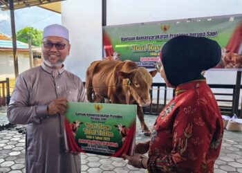 Presiden Prabowo Sumbang Sapi Simental 650 Kg untuk Masjid Tua Bontang