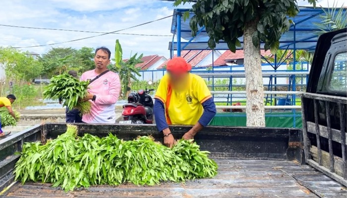 Ratusan Ikat Kangkung dan Harapan dari Balik Jeruji Lapas Bontang
