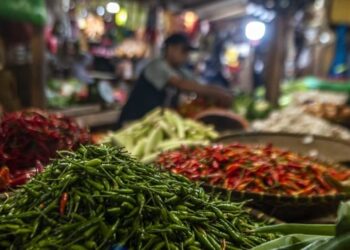Harga Cabai dan Bawang Turun, Kaltim Catat Deflasi Mei 2025