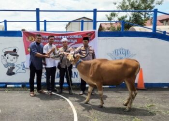 Iduladha 1446 H, Polres Berau Salurkan 26 Hewan Kurban untuk Warga