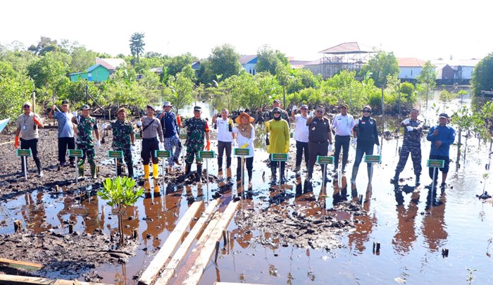 HUT ke-67 Kodam VI/Mulawarman, TNI Tanam Seribu Mangrove di Pesisir Bontang