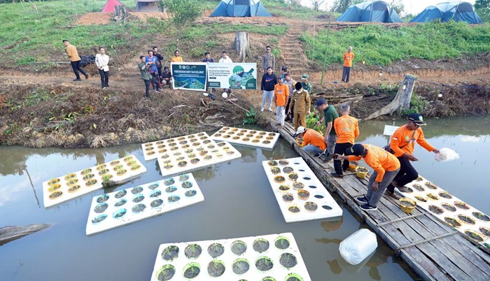Kutim Uji Coba Padi Terapung, Panen Ikan dan Gabah Sekaligus