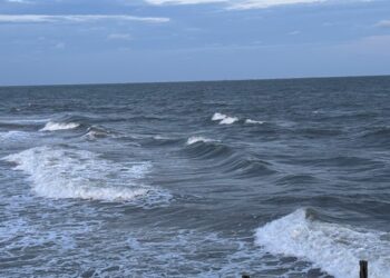 Gelombang Tinggi Ancam Perairan Kaltim, BMKG Minta Kapal Kecil Tak Melaut hingga 13 Juli Gempa Dahsyat di Rusia, Kaltim Dipastikan Aman dari Ancaman Tsunami