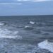 Gelombang Tinggi Ancam Perairan Kaltim, BMKG Minta Kapal Kecil Tak Melaut hingga 13 Juli Gempa Dahsyat di Rusia, Kaltim Dipastikan Aman dari Ancaman Tsunami