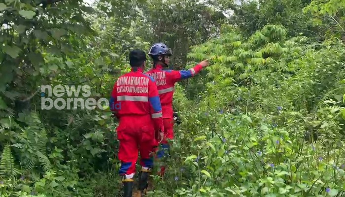 Pria Hilang di Hutan Loa Tebu Kukar, Tim Gabungan Sisir sejak Pagi