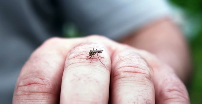 Kasus DBD di Bontang Tembus 152, Dua Orang Meninggal Dunia