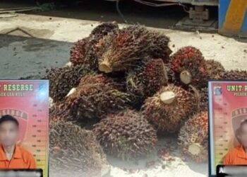 Curi 400 Kg Sawit, Dua Pria di Kukar Ditangkap saat Hendak Jual