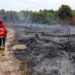 Kebakaran Lahan di Gunung Elai Bontang, Dipadamkan Dua Jam