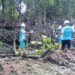 PT EUP Tanam 500 Pohon Mangrove di Tanjung Merangas, Total Sudah 67.500 Pohon untuk Bontang Lebih Hijau