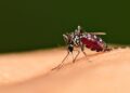 Kutim Kejar Eliminasi Malaria 2027