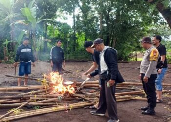 Arena Judi Sabun Ayam di Labakkang Pangkep Dibongkar dan Dibakar Polisi
