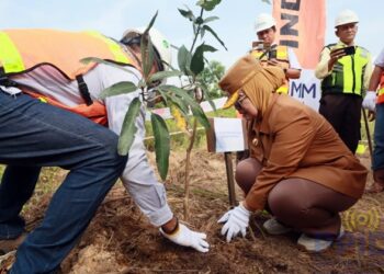 Bontang Tanam 10 Ribu Mangrove, Wali Kota Ingatkan Tambang Harus Selamatkan Lingkungan
