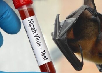 Virus Nipah Masuk Daftar Ancaman Pandemi, Warga Kaltim Diminta Lebih Waspada