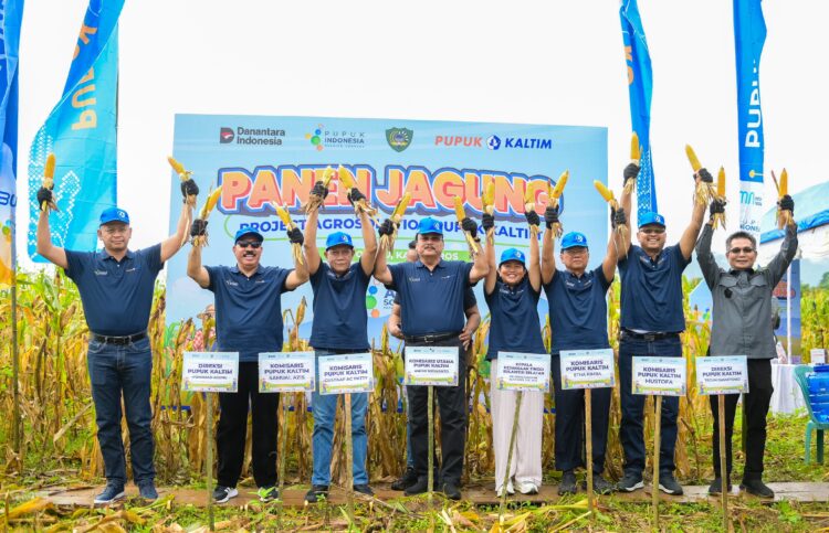 Agrosolution Pupuk Kaltim Dongkrak Produksi Jagung Maros 140 Persen, Dari 2,5 Ton Jadi 6 Ton per Hektare