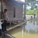 Anak dan Nenek di Bengalon Kutim Diserang Buaya saat Banjir, Jalani Perawatan Medis