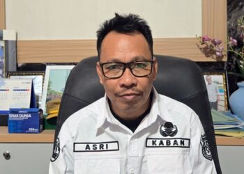 PPPK Penuh Waktu Pangkep Dijamin Terima THR 2026