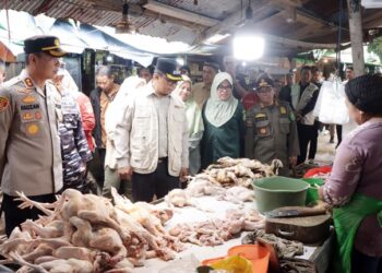 Harga Cabai di Kutim Naik jadi Rp70 Ribu Jelang Lebaran, Masih Lebih Murah dari Tahun Lalu