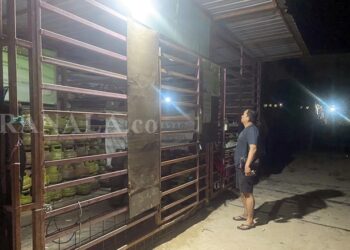 Viral Dugaan Penimbunan Elpiji 3 Kg di Muara Badak, Ini Hasil Pengecekan Polisi di Lapangan