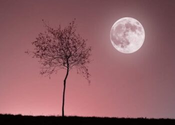 Fenomena Pink Moon Hiasi Langit Indonesia 1–2 April 2026, Begini Cara Melihatnya