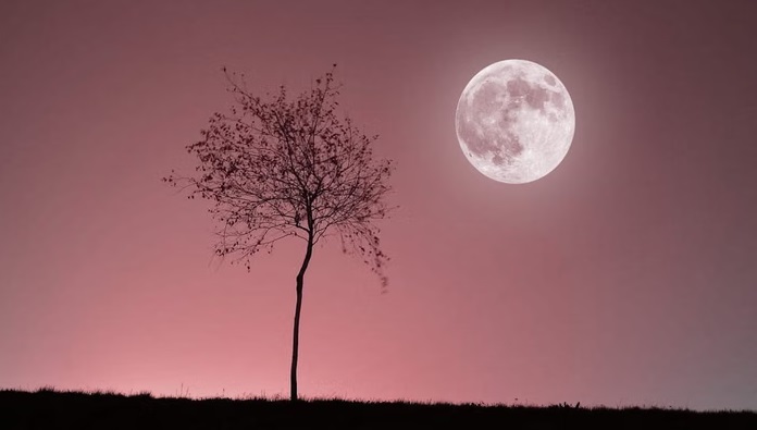 Fenomena Pink Moon Hiasi Langit Indonesia 1–2 April 2026, Begini Cara Melihatnya