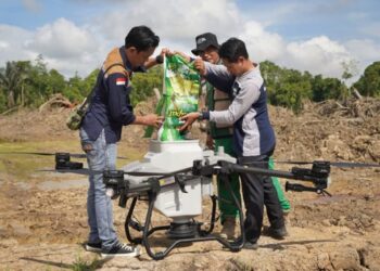 Kutim Targetkan 20 Ribu Hektare Sawah, 7 Ribu Hektare Sudah Siap Digarap