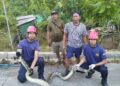 Ular Piton 3 Meter Muncul di Permukiman Lok Tuan Bontang